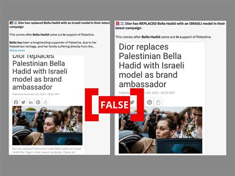 does christian dior support israel or palestine|Dior Faces Boycott Calls Over Bella Ha.